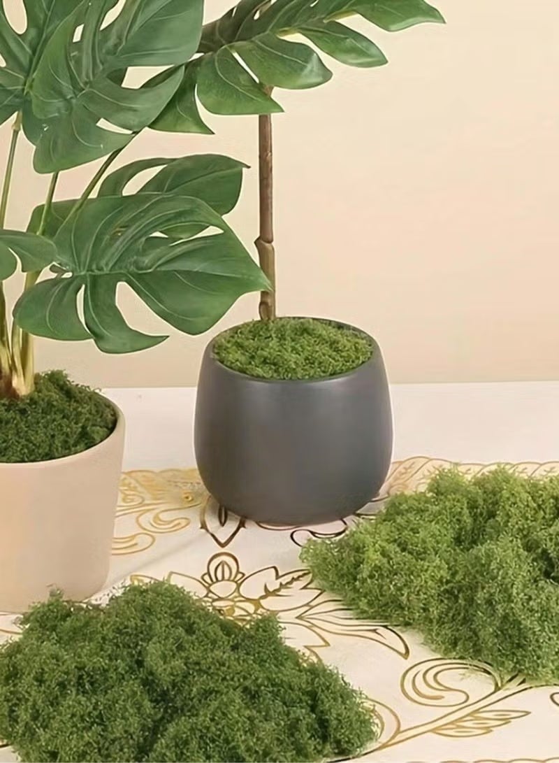 طحالب صناعية، طحالب اصطناعية، طحالب خضراء لتزيين الحدائق الصغيرة، نباتات خضراء يمكنك صنعها بنفسك لتزيين الحدائق المنزلية، نباتات مزروعة في أصص، أرضيات، ديكورات خارجية للحدائق والفناء - Image 1